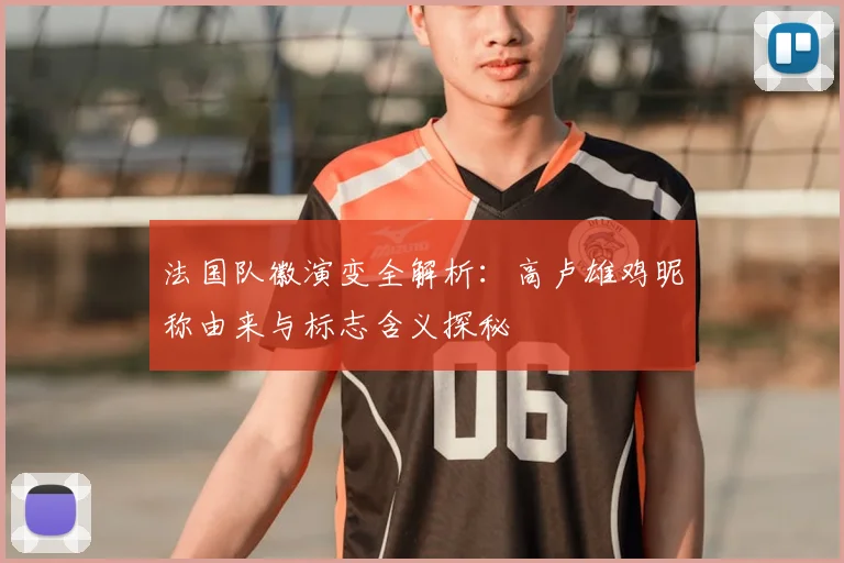 法国队徽演变全解析：高卢雄鸡昵称由来与标志含义探秘